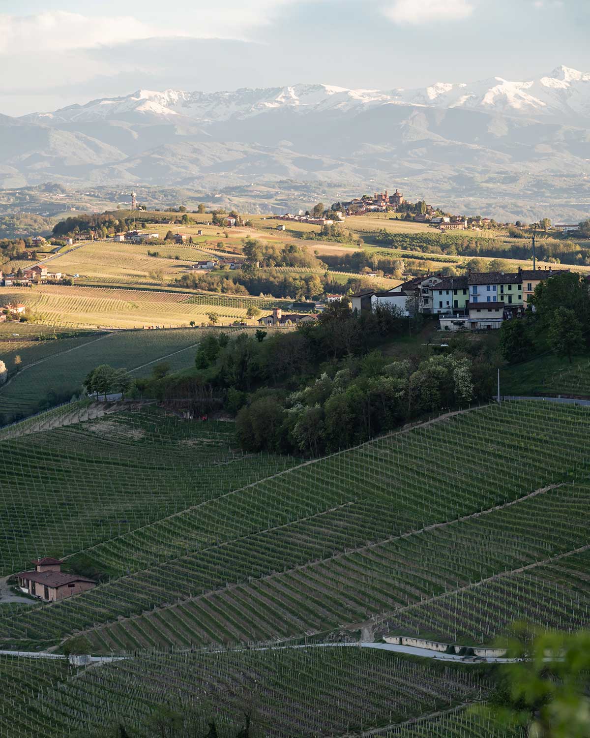 1’ a piedi dal Belvedere di La Morra
