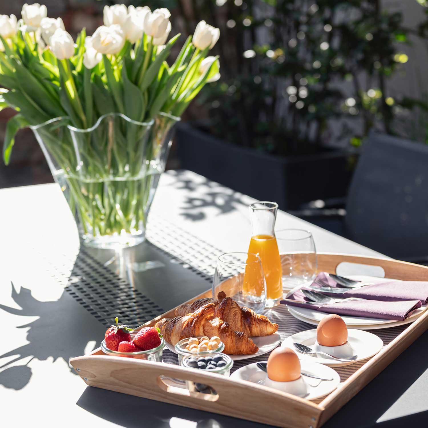 Camera Superior Alta Langa